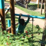 Playground deixa de ser recreio e ganha papel central no desenvolvimento das crianças nas escolas