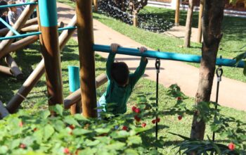 Playground deixa de ser recreio e ganha papel central no desenvolvimento das crianças nas escolas