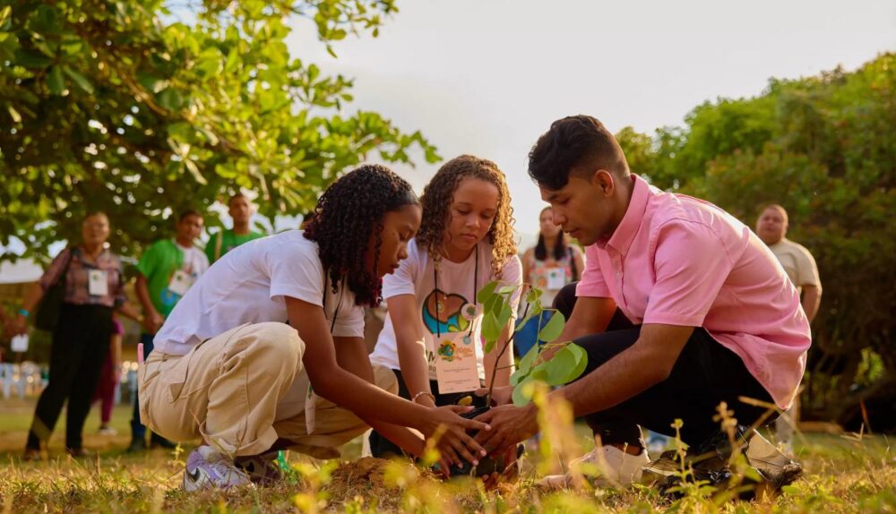 Escolas precisam reconectar crianças com a natureza e o corpo em movimento