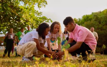 Escolas precisam reconectar crianças com a natureza e o corpo em movimento